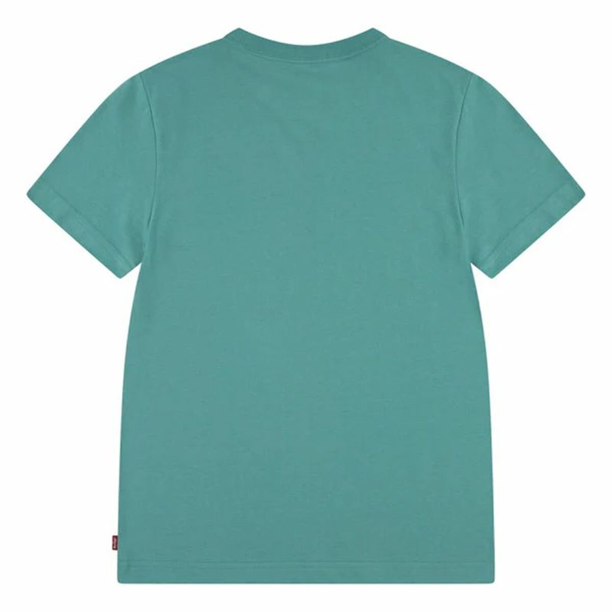 V5HB3AACCCC2EA743639A2D36F2531B925ER6162709P2