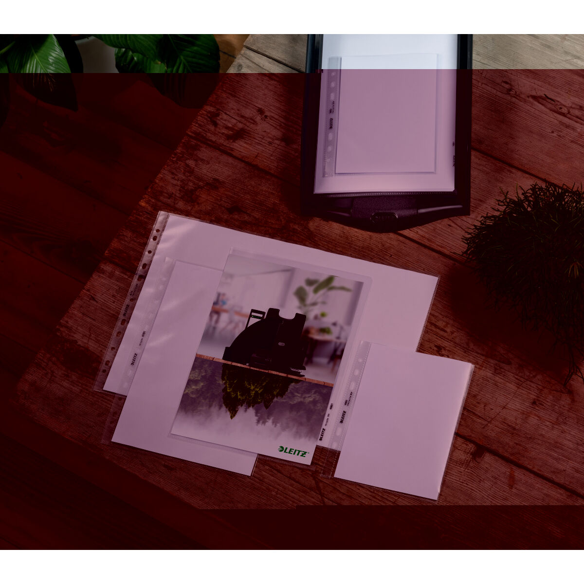 V5H882DB474709C568C13B8E7B7D02BEB82R5542224P4