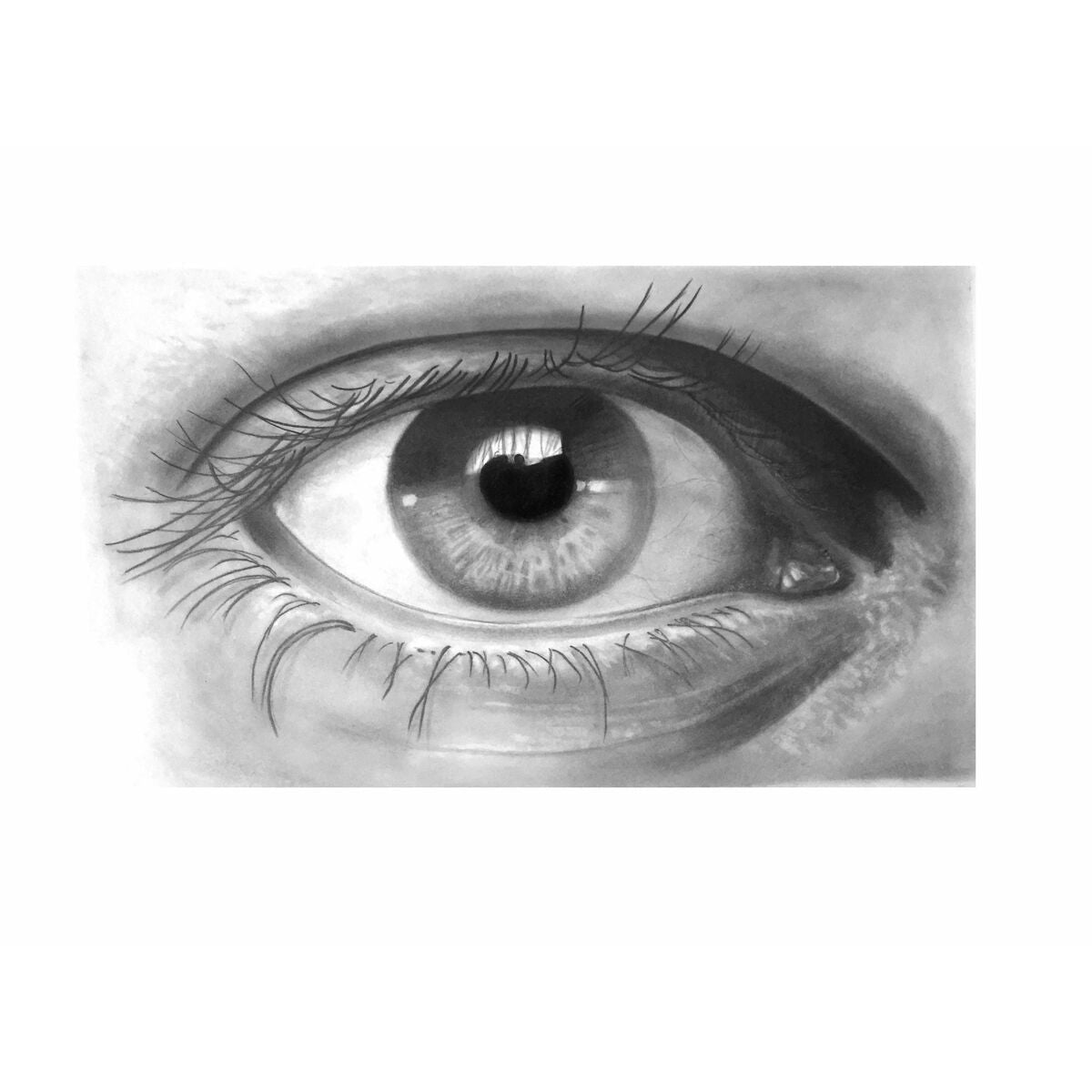 V3H3292FD857A304D6AF3F6C06F7FA9AD6FR4970923P6