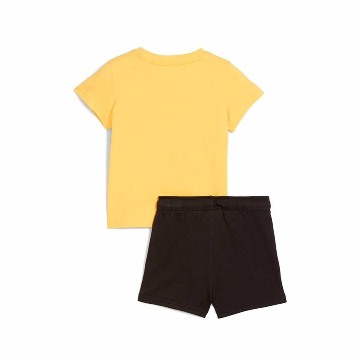 V2HE377748F0109978D7E067410A1195F03R6070361P2