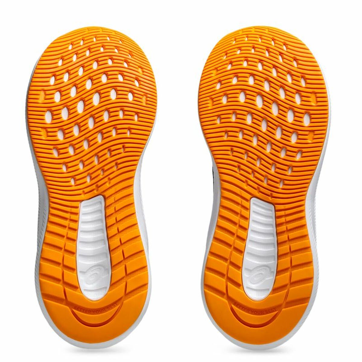 V2H96FC4EC2688D547529799F0AE806496AR5763750P3