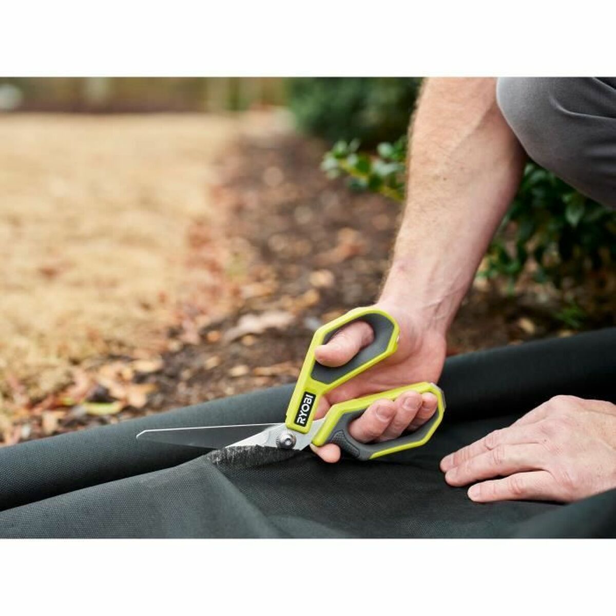 V7HA8193FC669012C93DBED0ED27DF5BA19R6446969P2