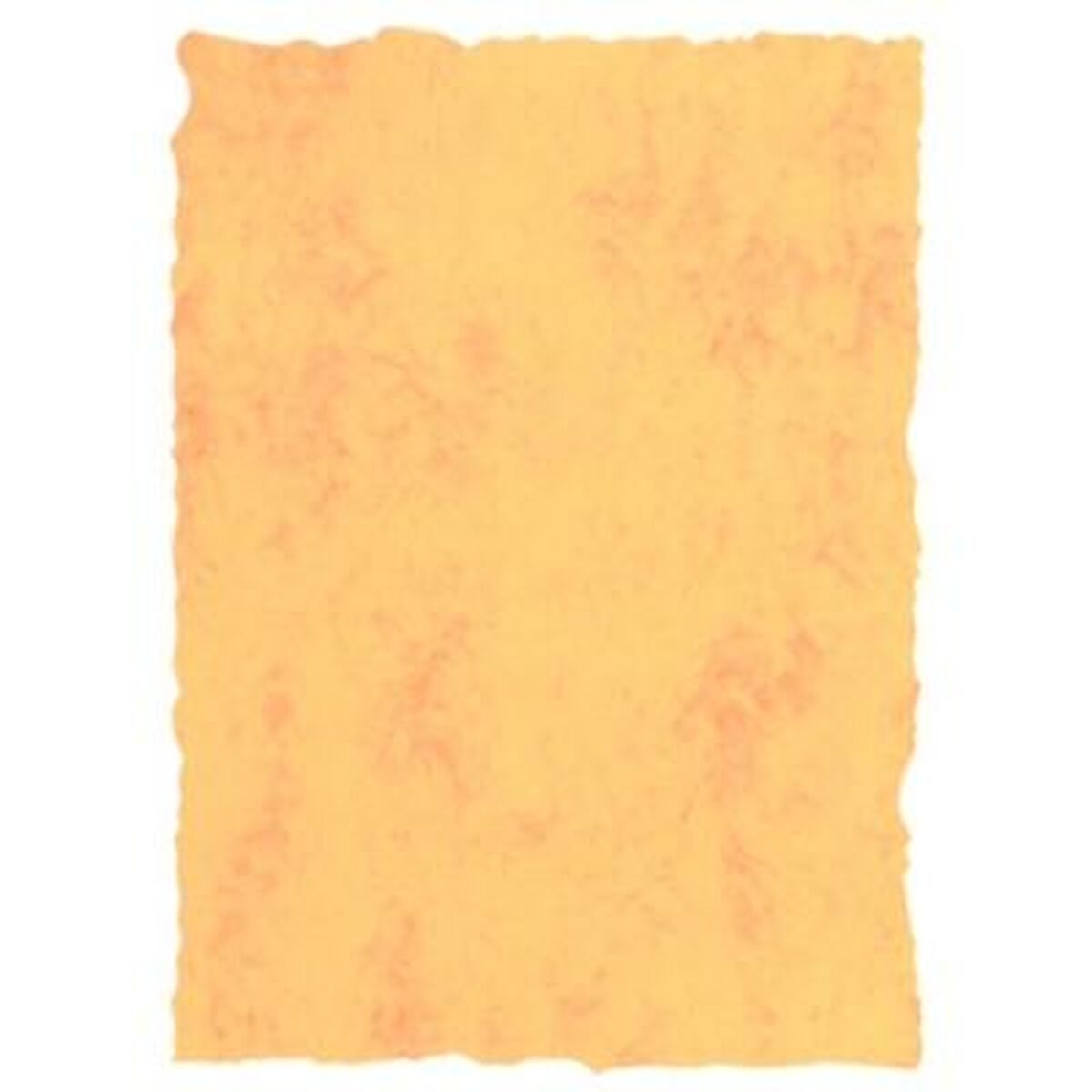 V8HDC2DFE519E1CF0079BEE36ADBDD4084BR4220502P1