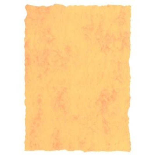 V8HDC2DFE519E1CF0079BEE36ADBDD4084BR4220502P1