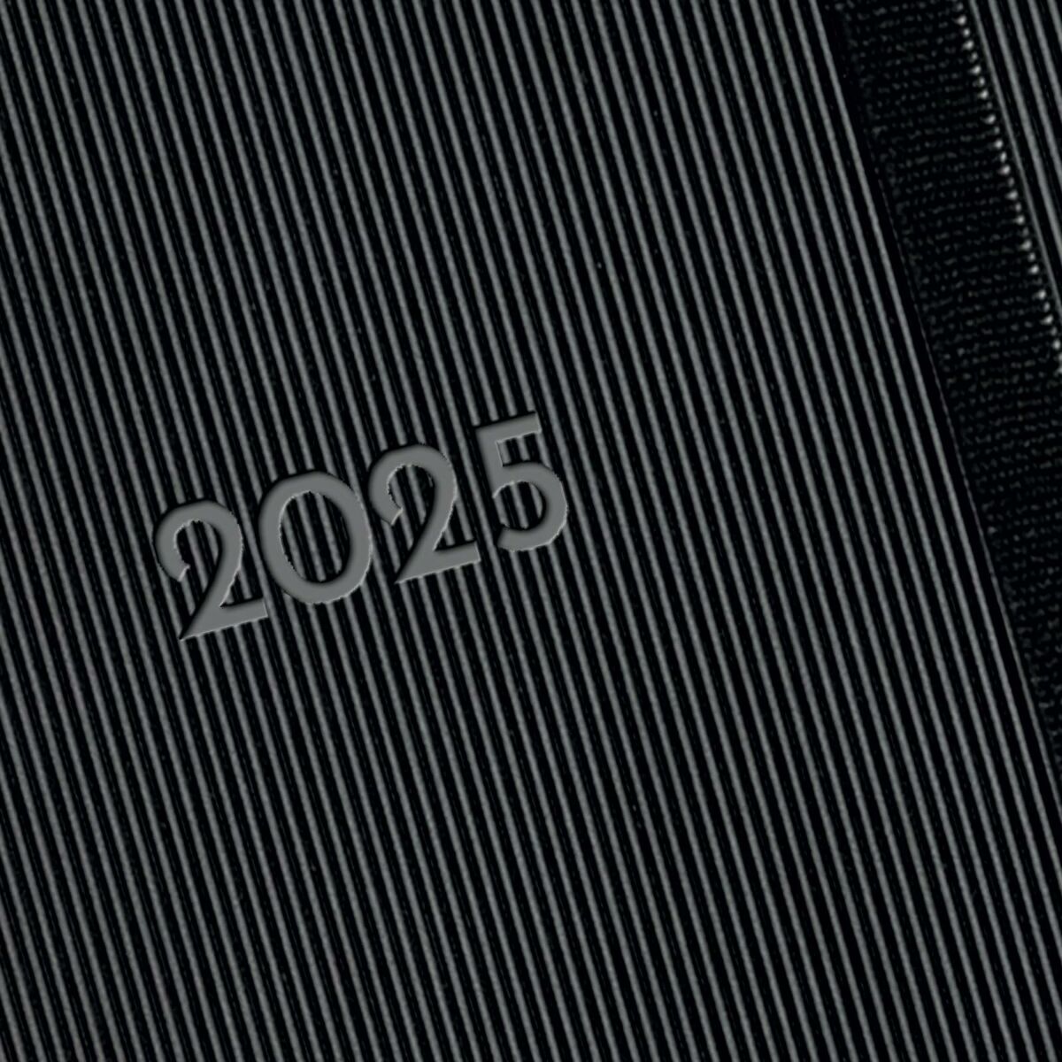 V3HDDC2539A373314A560AFE033B72B1F2FR4999681P8