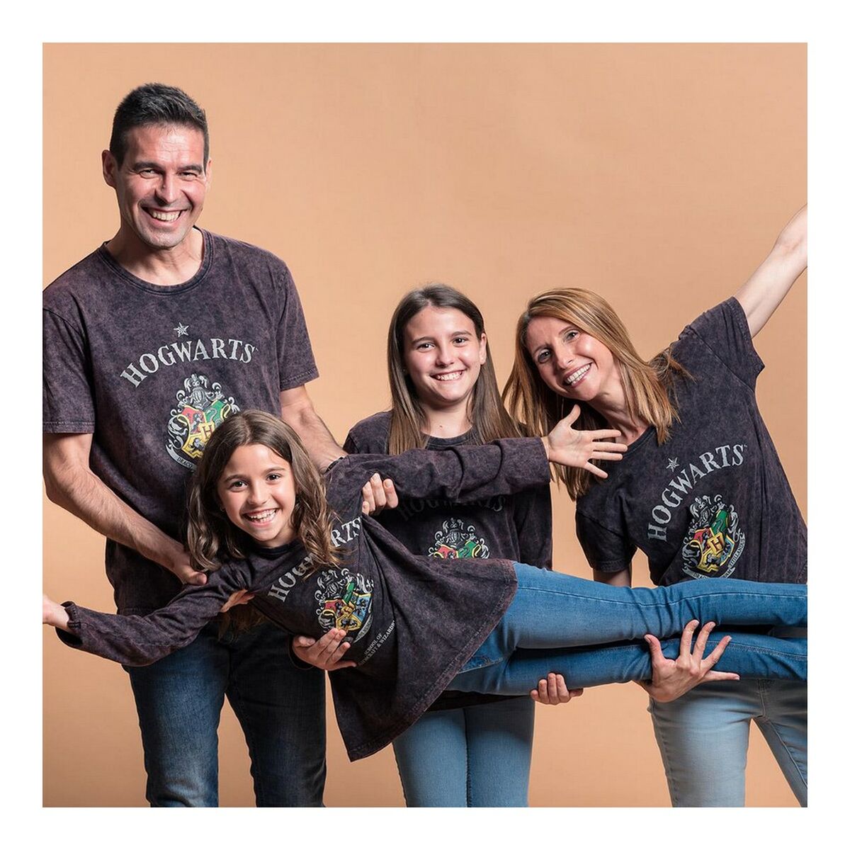 V15HF257AF2B1BAA6918726E1E5E4E9BE824R7155151P7