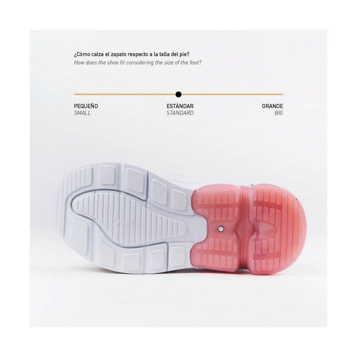 V11HC2BBFD07363E979095BFBD1648C1AF65R4089964P6