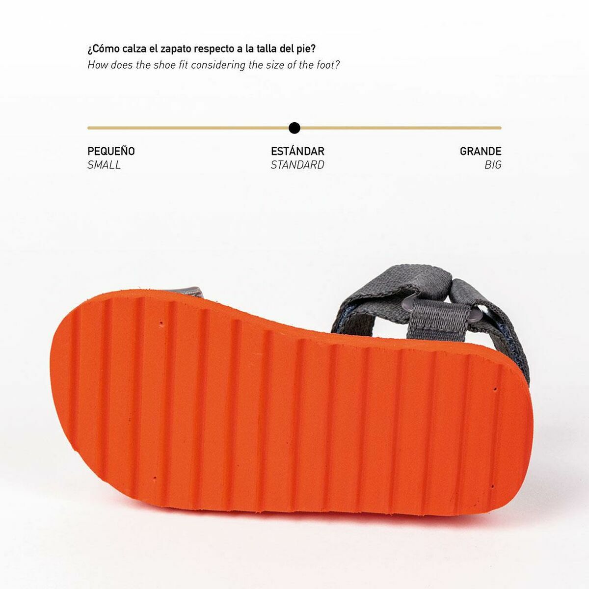 V7HFB9C33010E4933F144E285EC8AFBAD7FR4726538P2