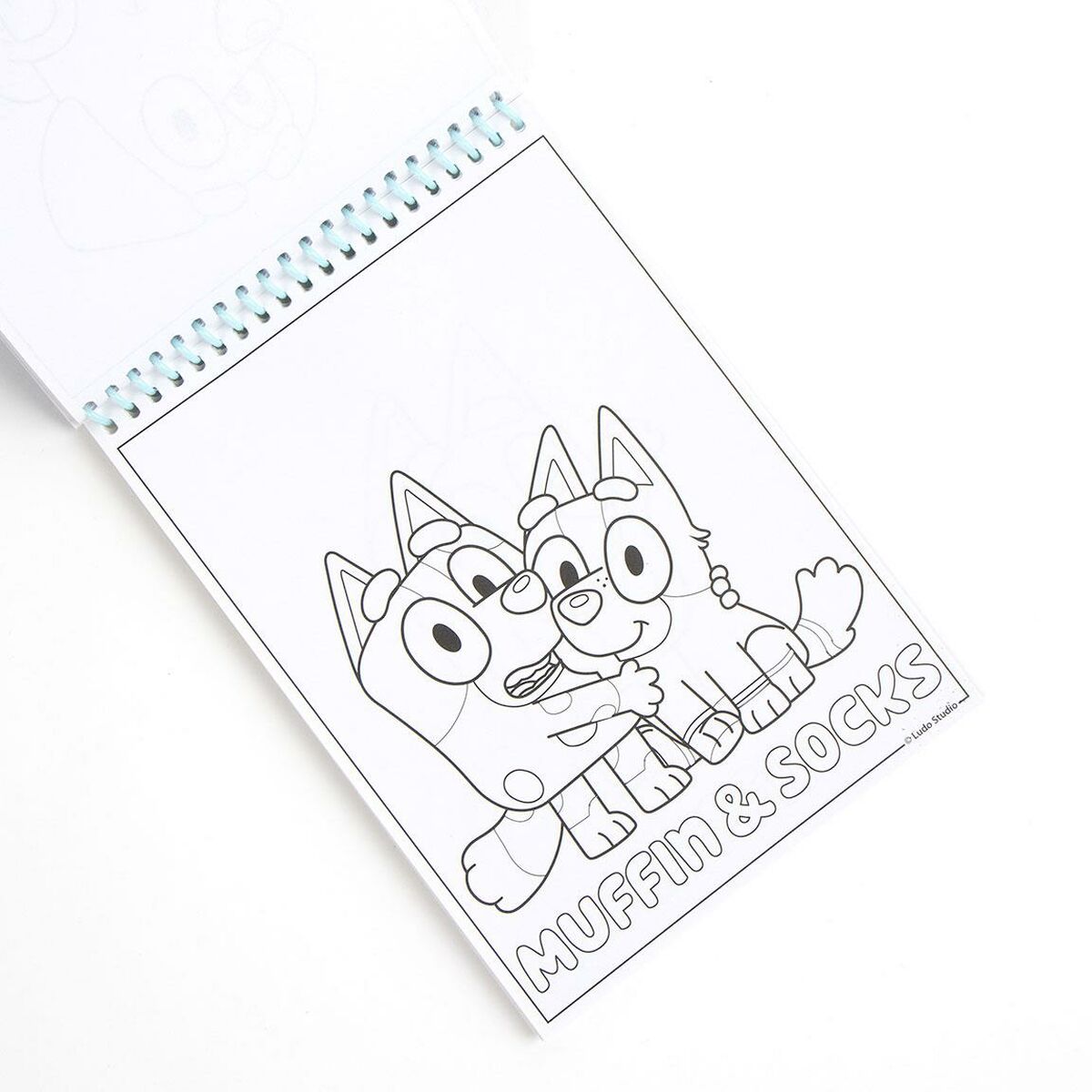 V3H45C5DCE36EF969DDECA9A7F7BBF91E72R5351083P1