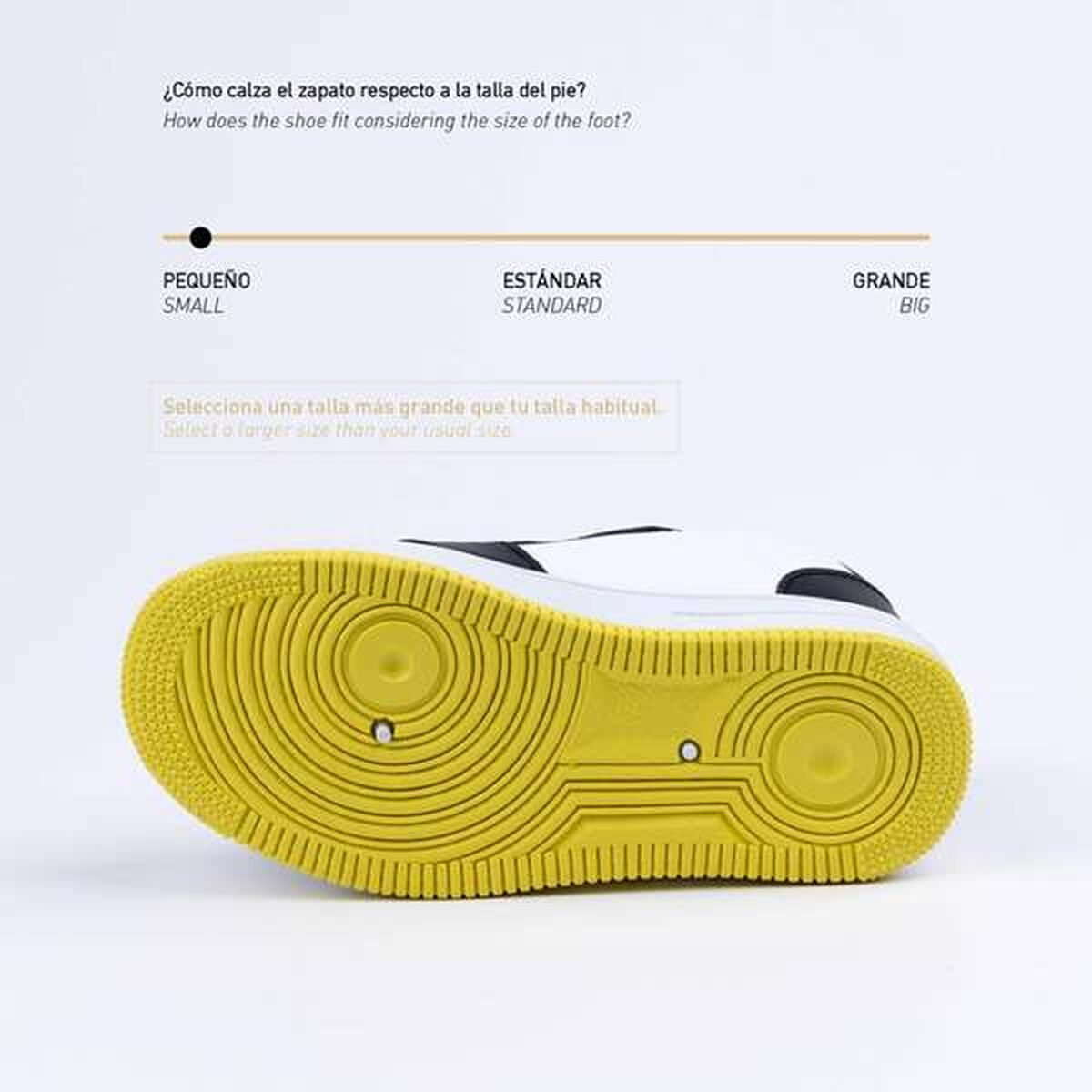 V3H8539CD7301448A2A2919E5D4387E9BE4R5508485P3