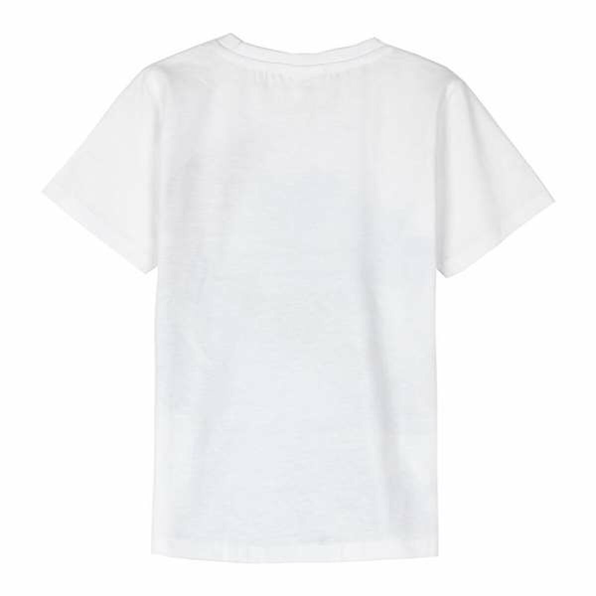 V2HC67A854AC9C1CE2EDC1AD513EEA0C3CER5588132P2