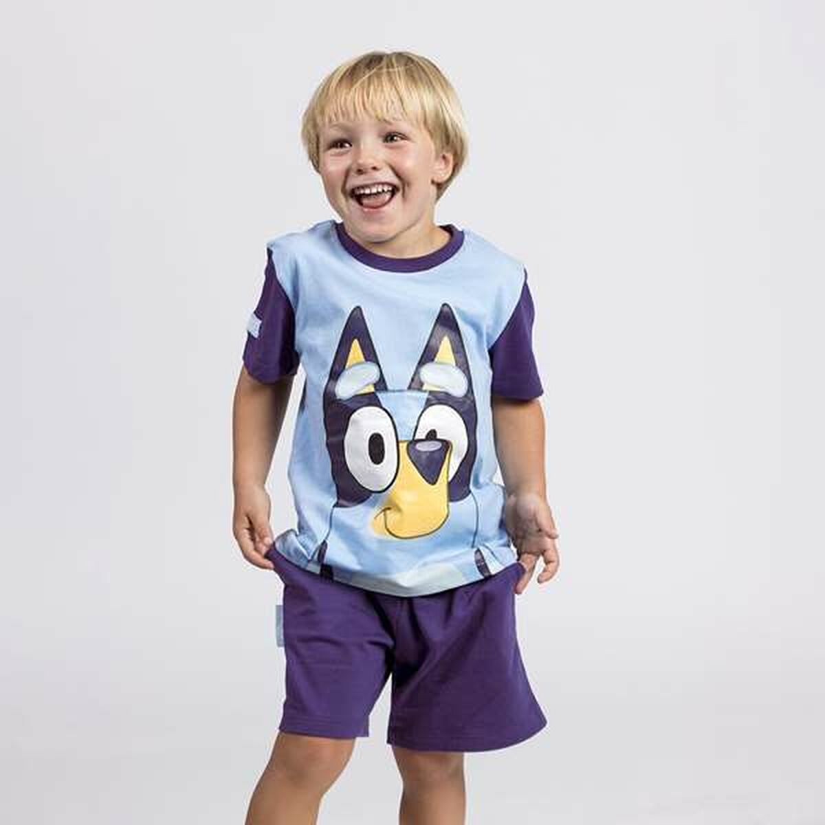 V4H336EFA796416DA6462C62566987640C1R5556070P4