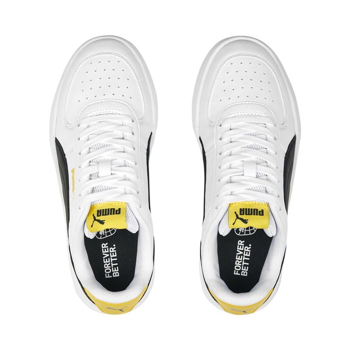 V2HA79826071B3031C2FEDA225CB22D4546R7697598P4